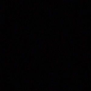 Meet your Posher, Jake